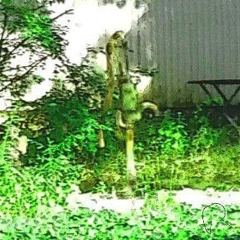 Some where in Brooklyn